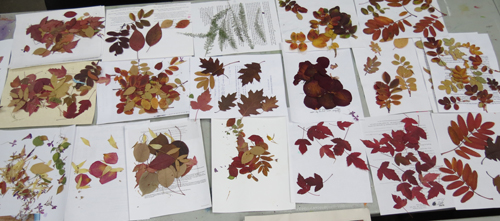 pressed leaves papermaking workshop2