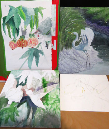 bird paintings in progress 