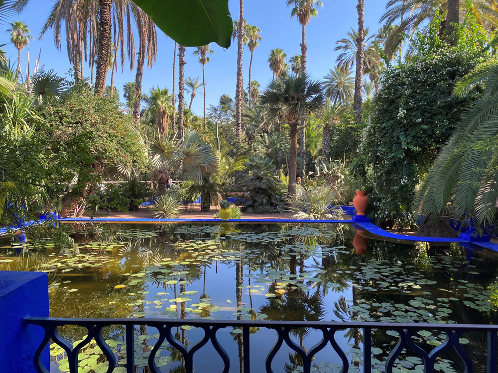 Image from Theresa pond 1000w