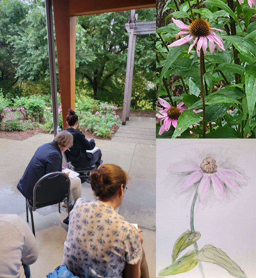 Sketching flowers at Yorath House in the rain