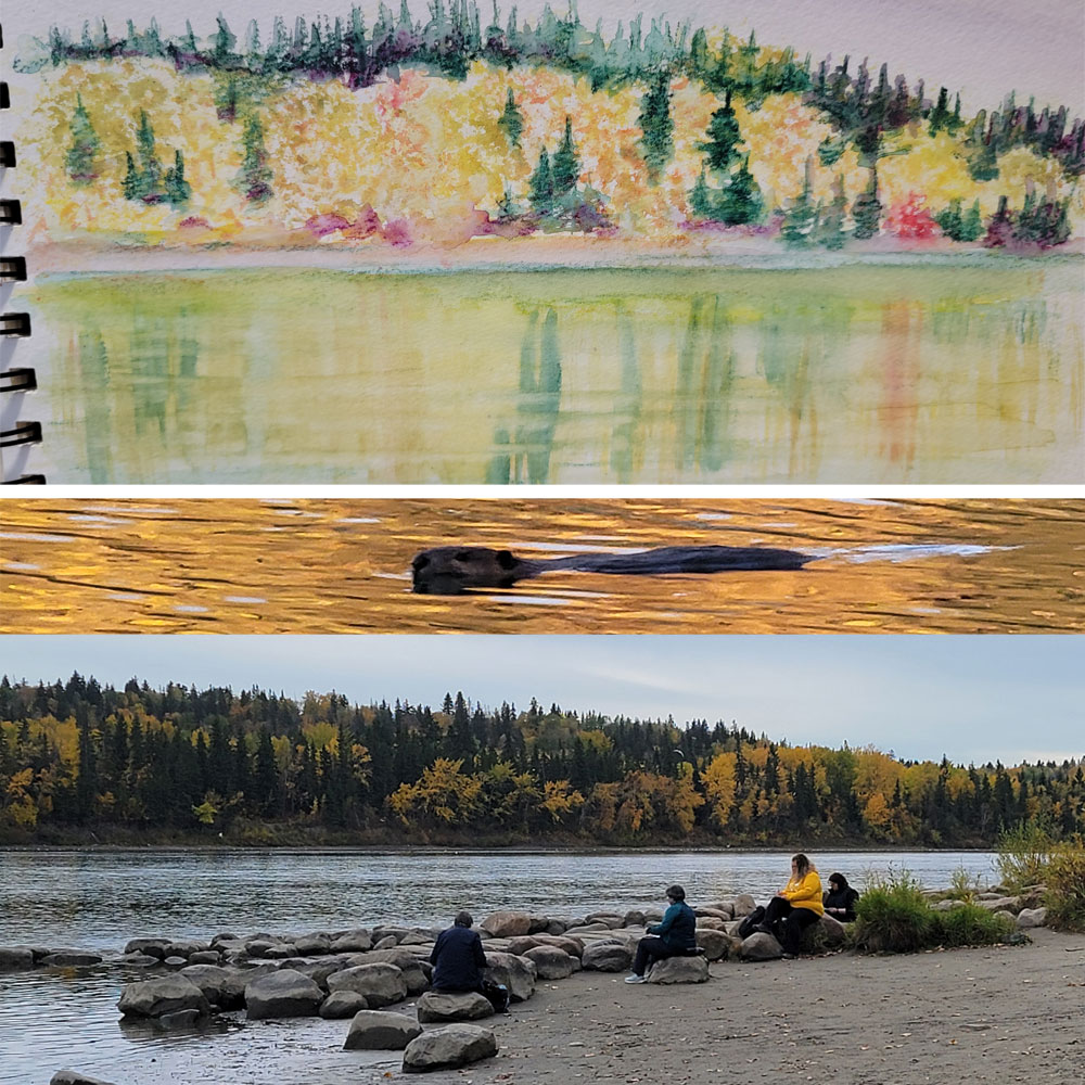 Sketching the North Saskatchewan River with beaver passing through