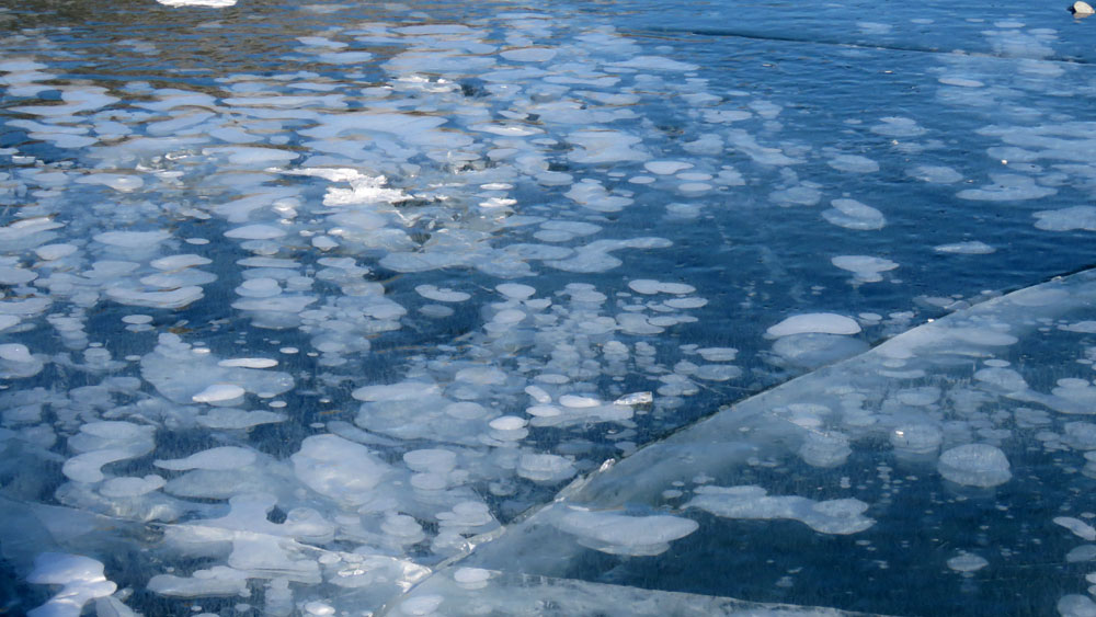 bubbles in reflection on Abraham Lake, AB