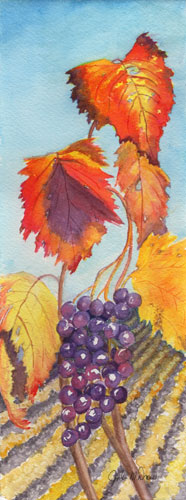 grapes vineyard italy, watercolor, 10 x 4 in, artist Julie Drew
