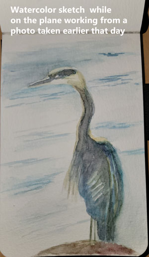 heron