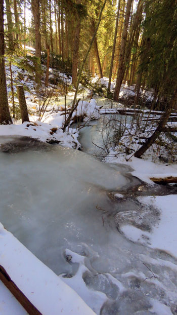 icy streams