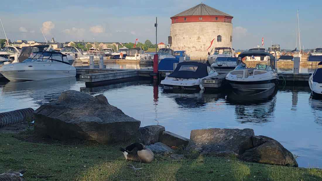 kingston harbour2