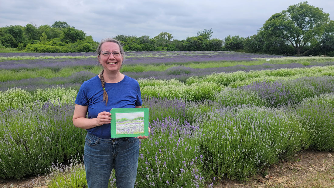 lavendar fields