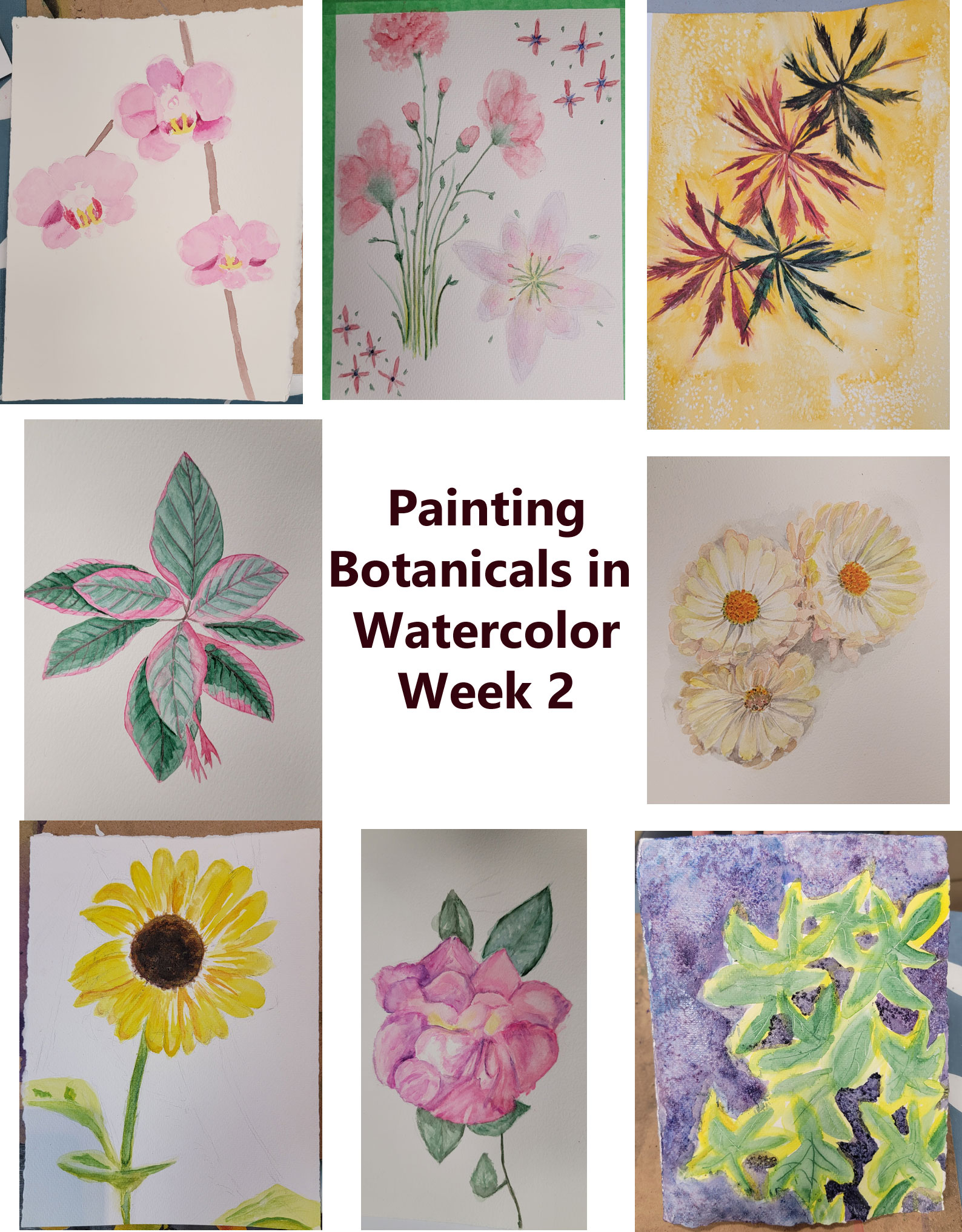 paintingbotanicals week2