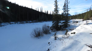 river above crescent falls ab