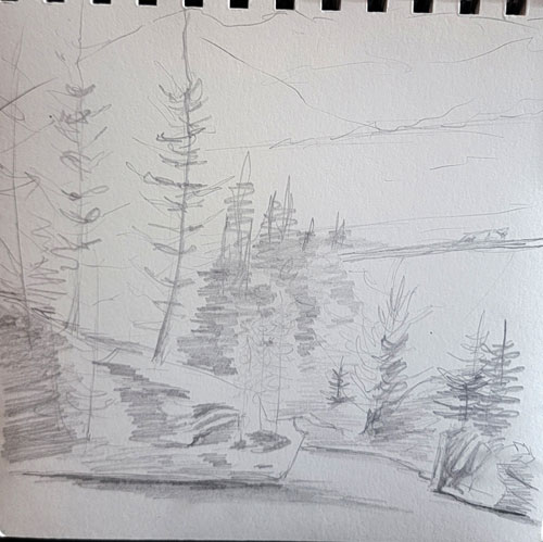 sketch pine trees with river