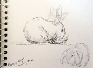 sketch rabbit