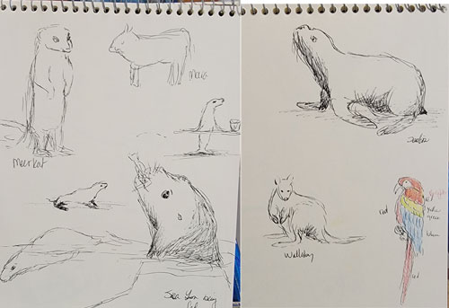 sketches of animals 