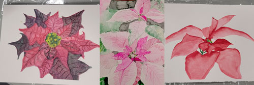 student watercolor poinsettia