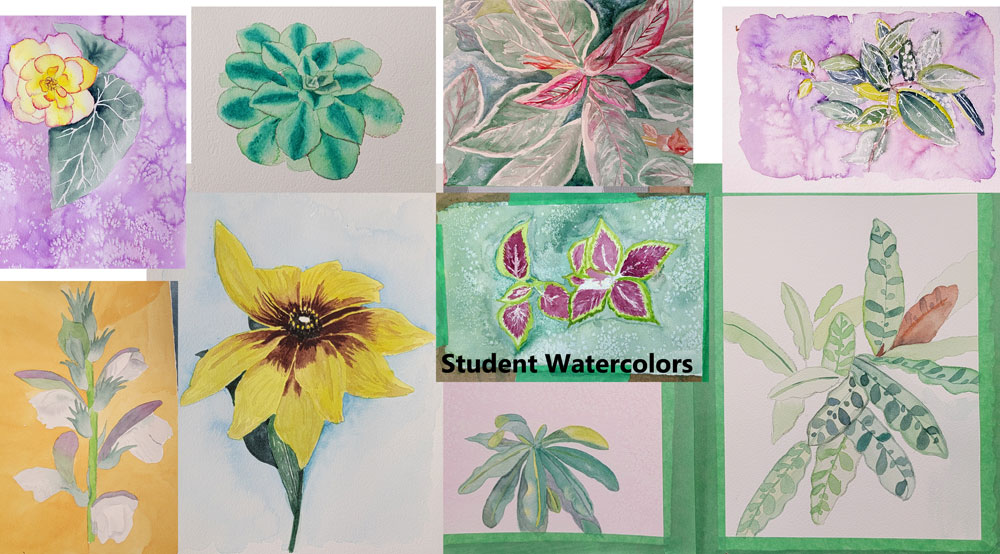 student watercolors