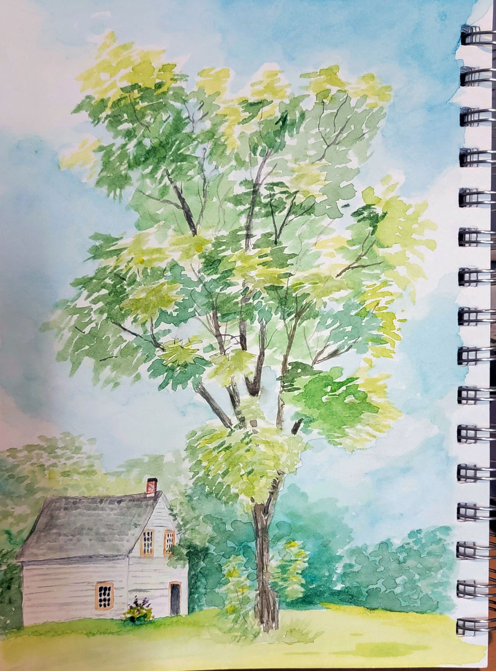 watercolor sketch JohnWalterMuesum