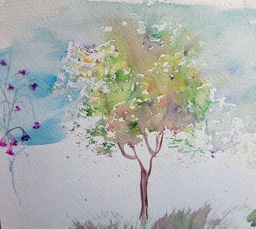 watercolor sketch deciduous tree