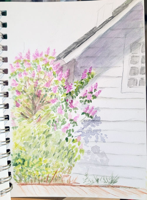 watercolor sketch Lilacs at john walter museum
