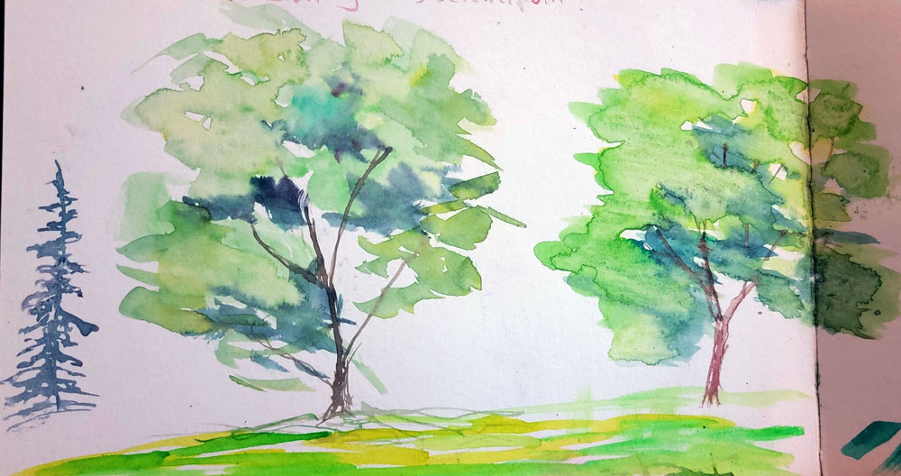 watercolor trees sktech