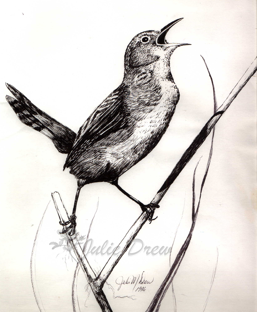 How to Draw a Singing Bird Easy  AnyBodyCanDraw with Sata 