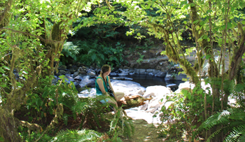 artist Julie Drew contemplating watercolor