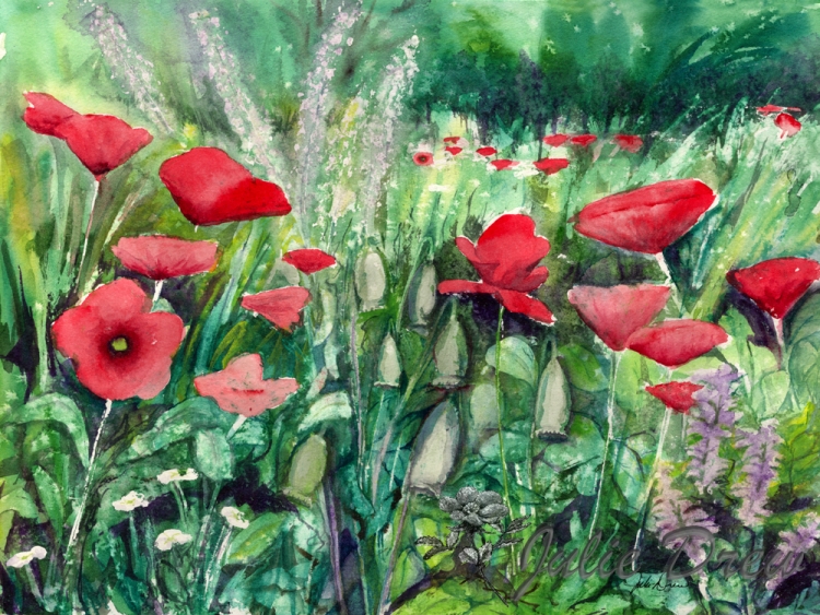 Wild Poppies, watercolor, Floral Series
