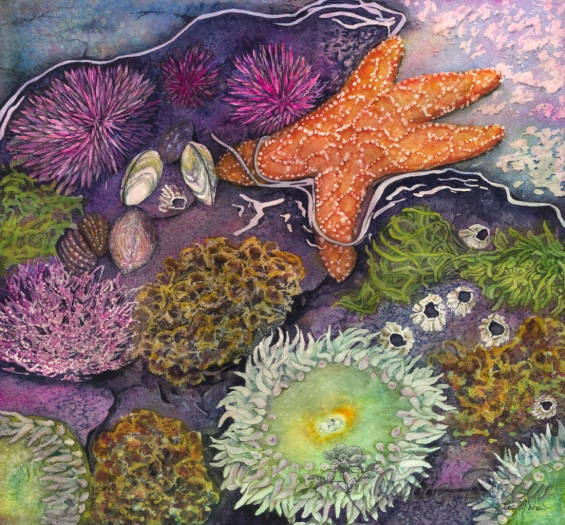 Wonders of the Sea, Watercolor Painting