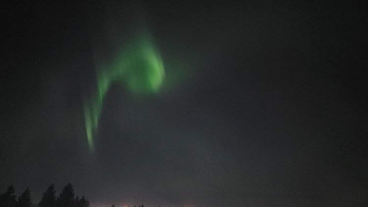 Northern lights sighting in Edmonton, Argyll neighborhood park