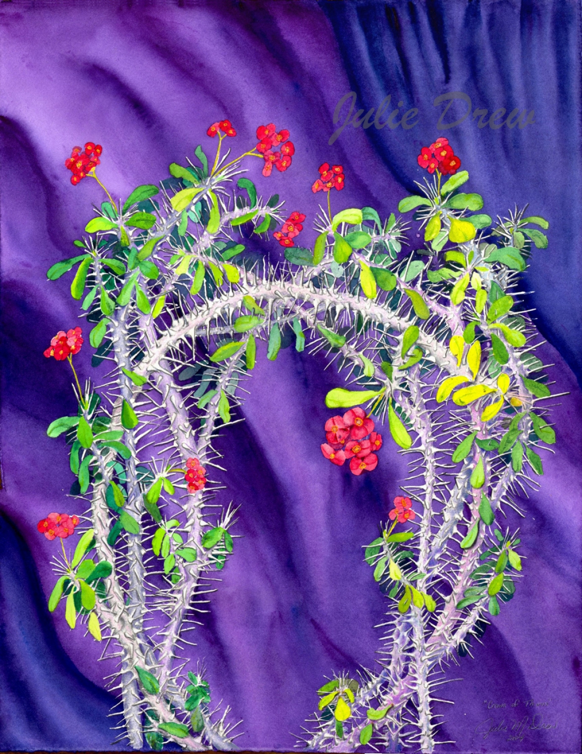 Crown of Thorns, watercolor, 22 in x 17 in