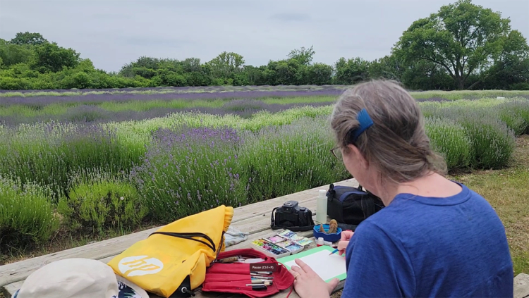 Julie Drew watercolor sketching (plein air) in Prince Edward County Lavendar farm